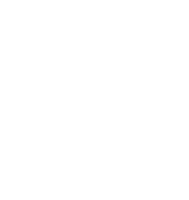 Storm Shield Roofing